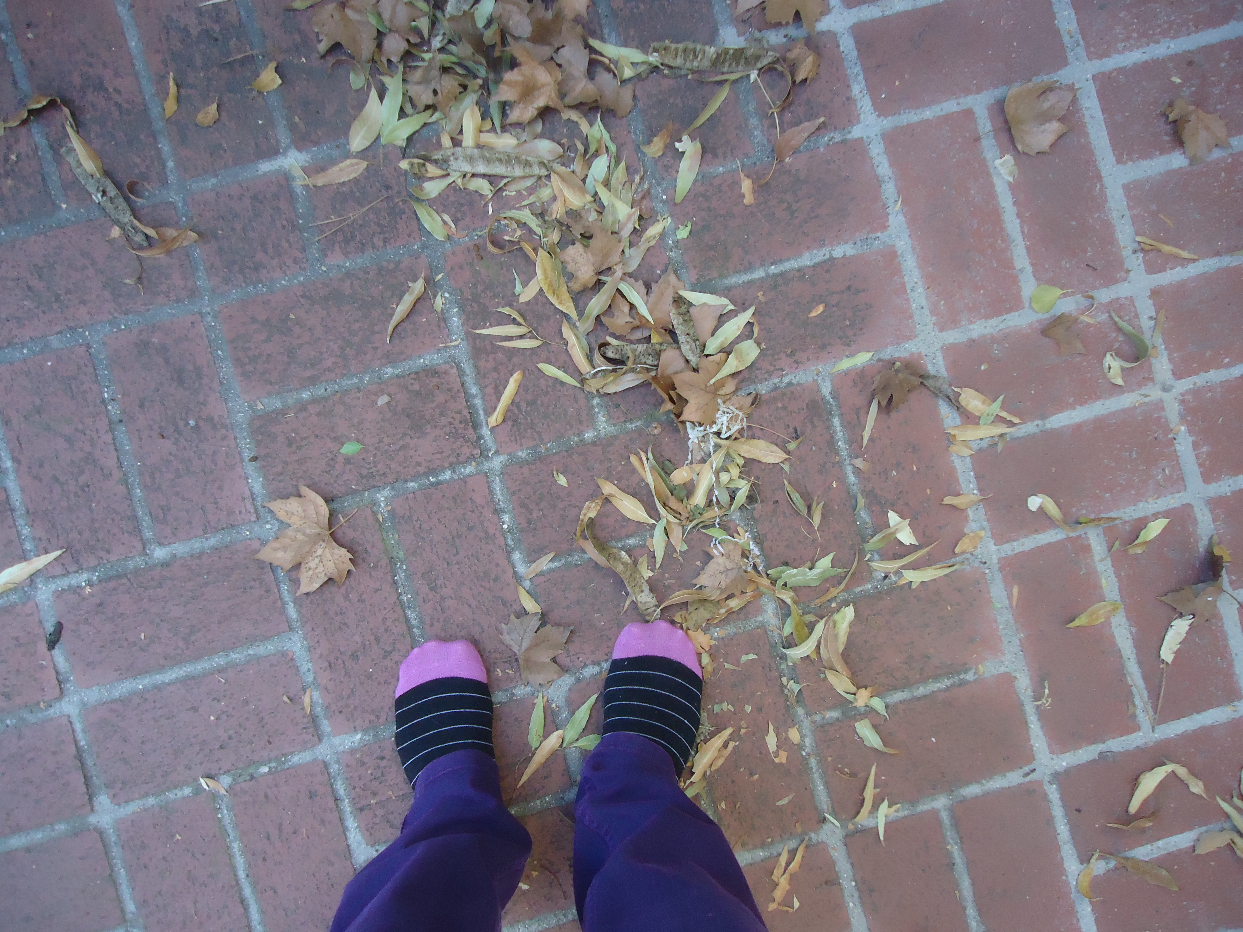 The miracle of socks that match