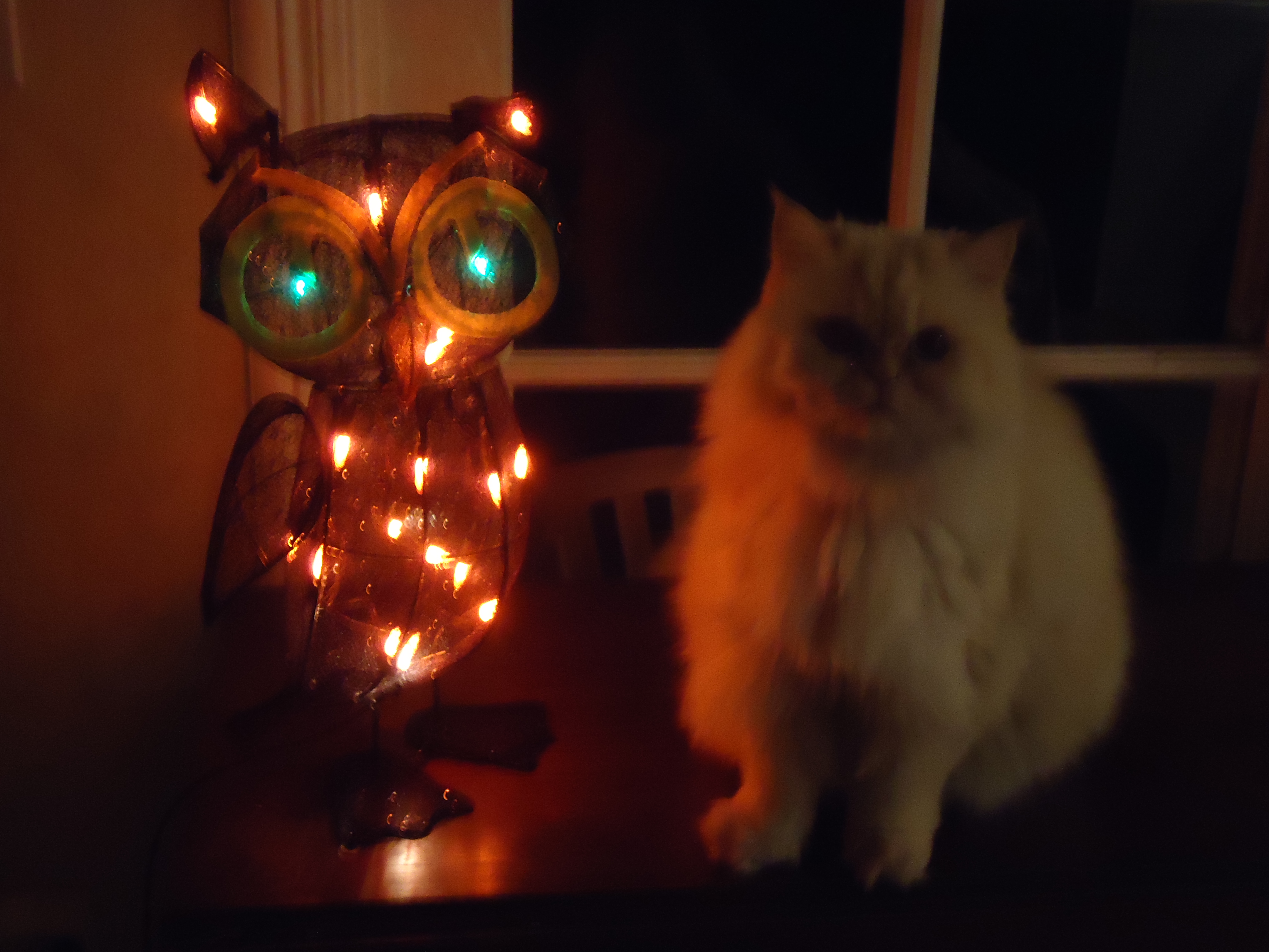 A little warmth for two