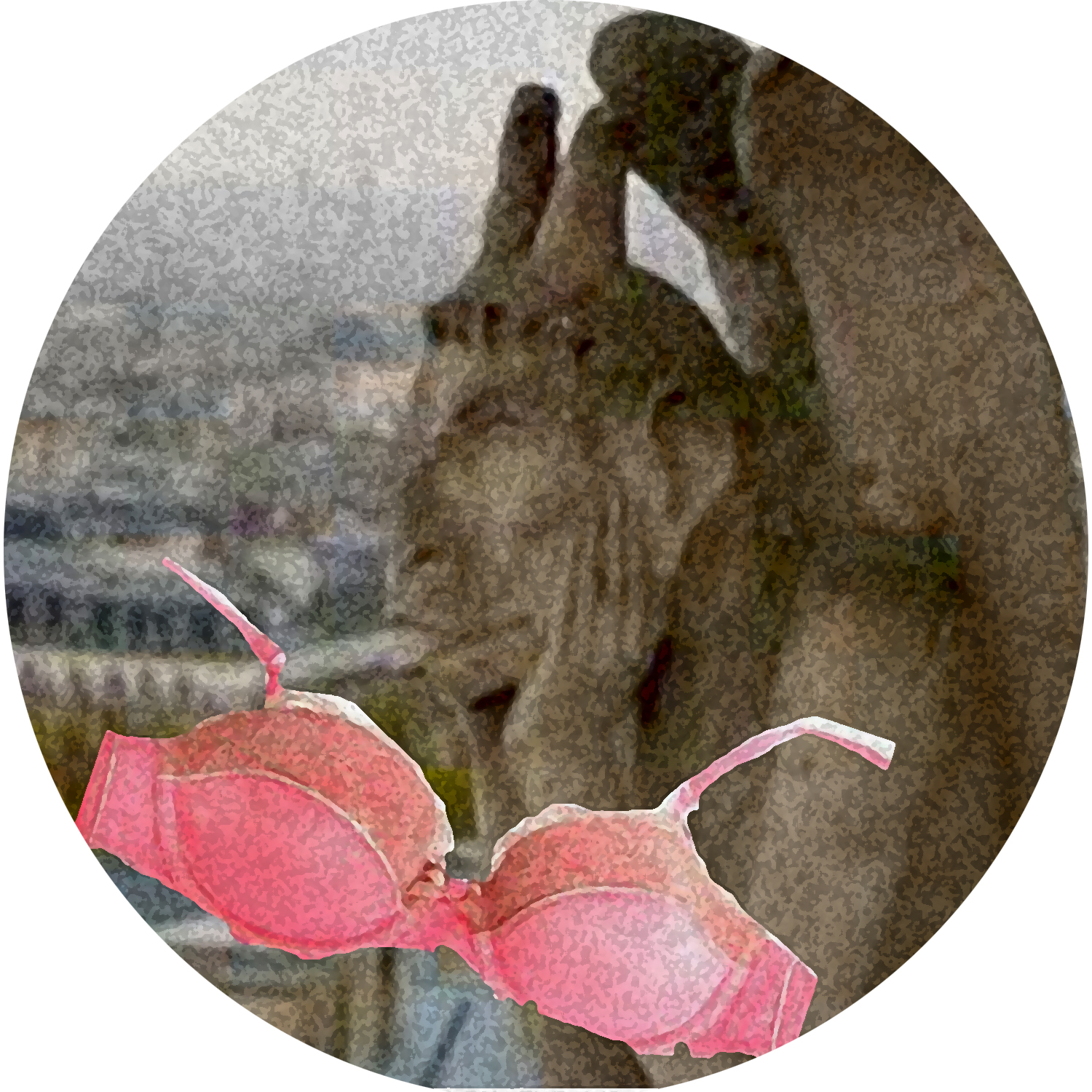 pink brassière and gargoyle