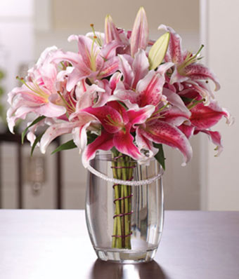 Vase Of Pink Lilies