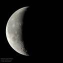 Moon Warning Mantis Style!!