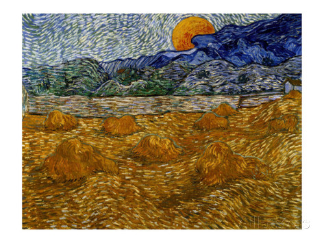 Wheat And Moon