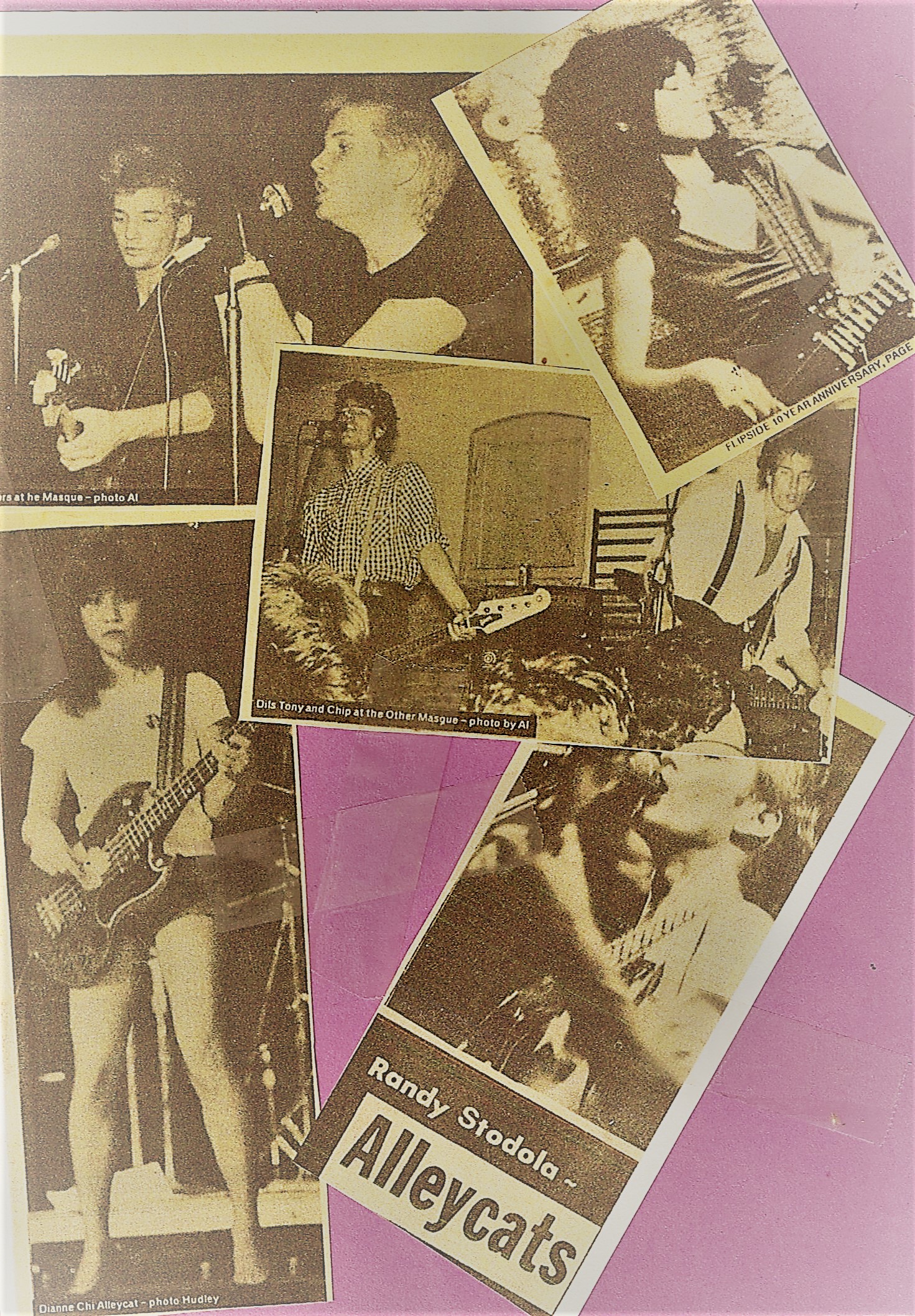 The Avengers, the Dils and the Alley Cats.