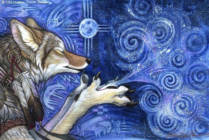 Time of Coyote