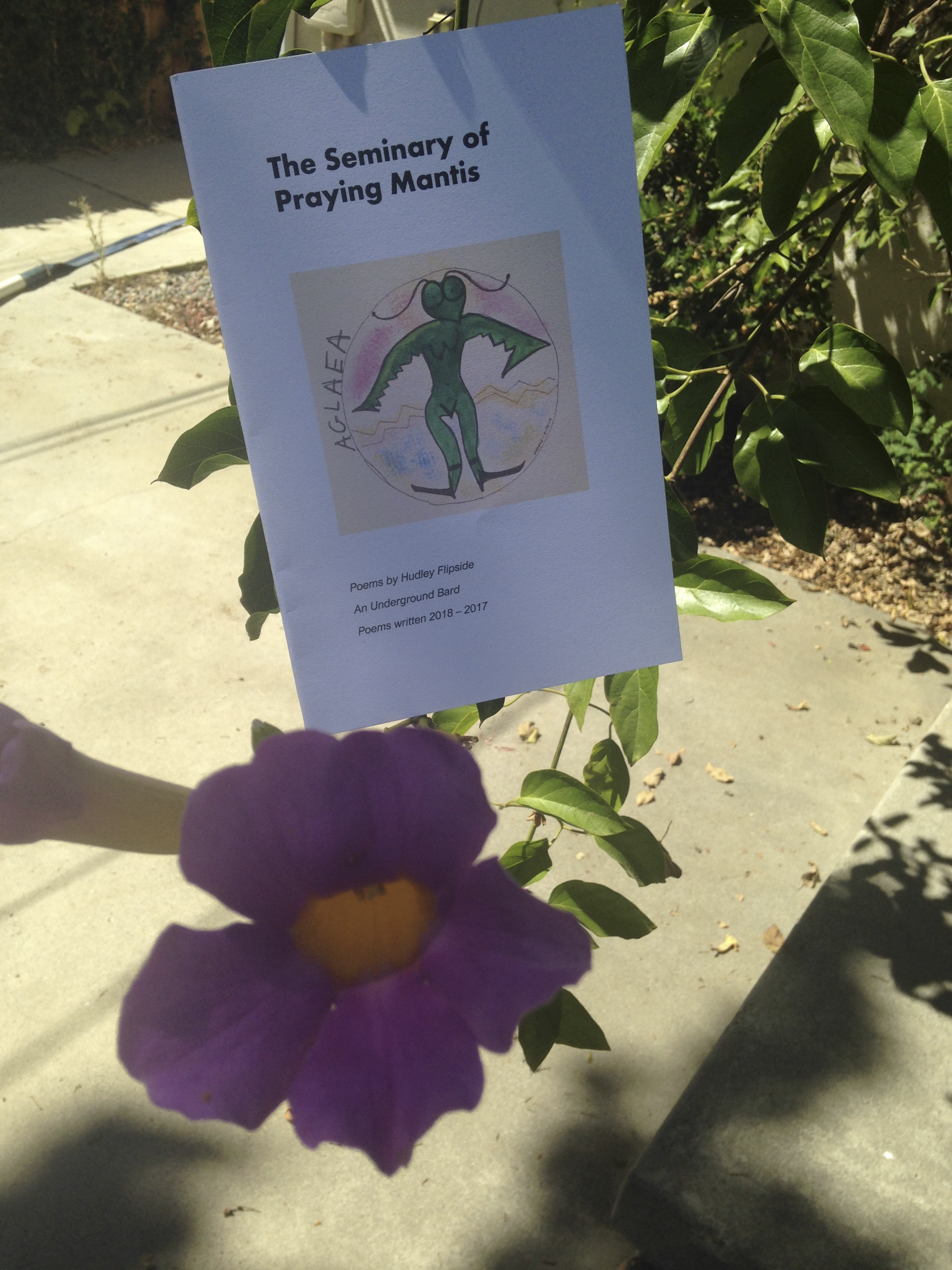 My Chapbooks Poetry by Hudley Flipside, An Underground Bard.